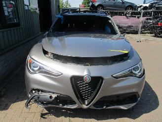 Voiture accidenté Alfa Romeo Stelvio  2019/1