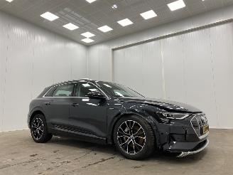 škoda osobní automobily Audi E-tron 50 Quattro Launch Edition plus 71 kWh Panoramadak 2019/12