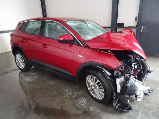 Coche accidentado Opel Grandland 1.2 THP AUTOMAAT 2020/6