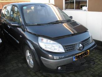 Sloopauto Renault Grand-scenic 2.0 16v 99kw automaat 2005/1