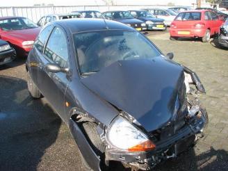 škoda osobní automobily Ford Ka  2008/11