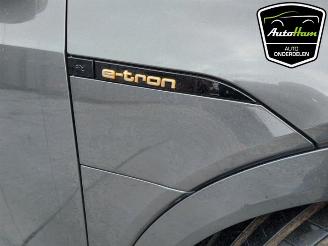 Audi E-tron E-tron Sportback (GEA), SUV, 2019 50 picture 18
