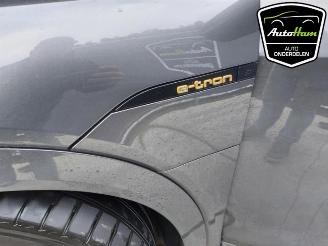 Audi E-tron E-tron Sportback (GEA), SUV, 2019 50 picture 19