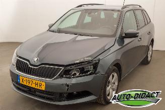 occasion passenger cars Skoda Fabia 1.2 TSI Automaat First Edition Ambition 2017/5