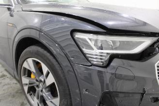 Audi E-tron  picture 18