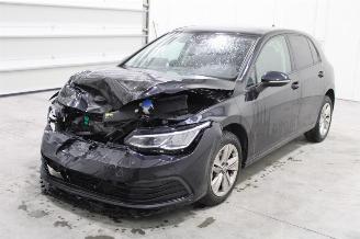 škoda osobní automobily Volkswagen Golf  2023/11