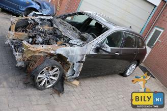 Voiture accidenté BMW 5-serie F11 520dX 2014/6