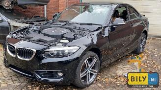 uszkodzony samochody osobowe BMW  F22 218i 2018/9