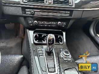 BMW 5-serie 530D picture 11