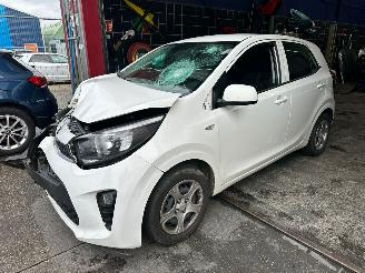 škoda osobní automobily Kia Picanto  2019/3